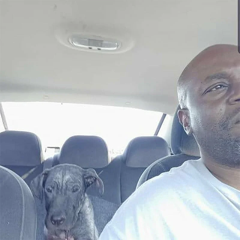 Calvin salva perrito