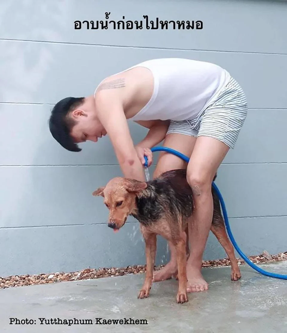 Chico con resaca baña a su mascota