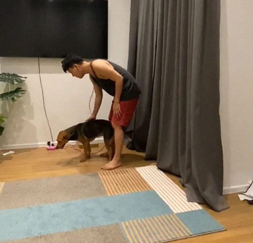 Chico con resaca y su nueva mascota