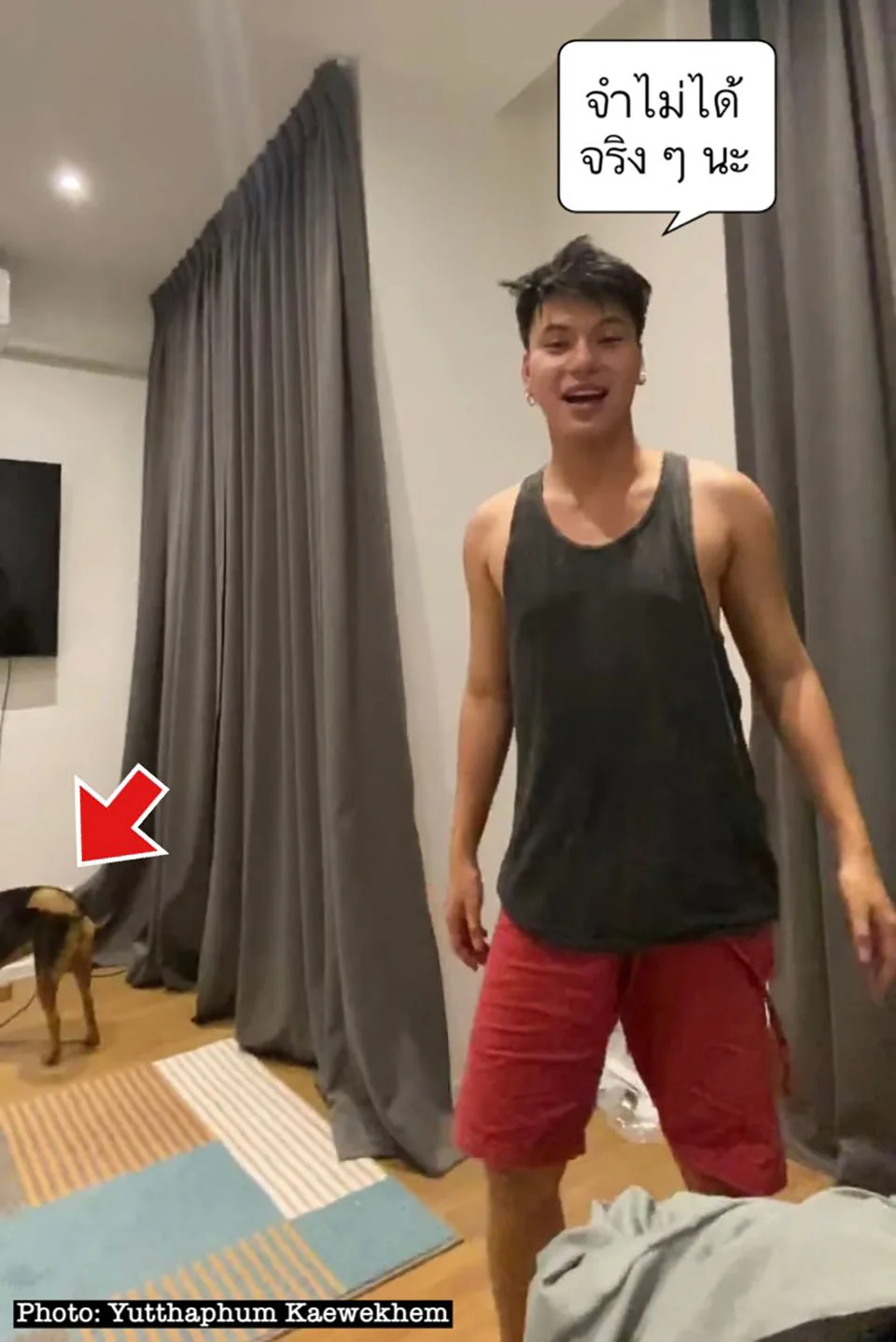 Despierta y ahora tiene una mascota