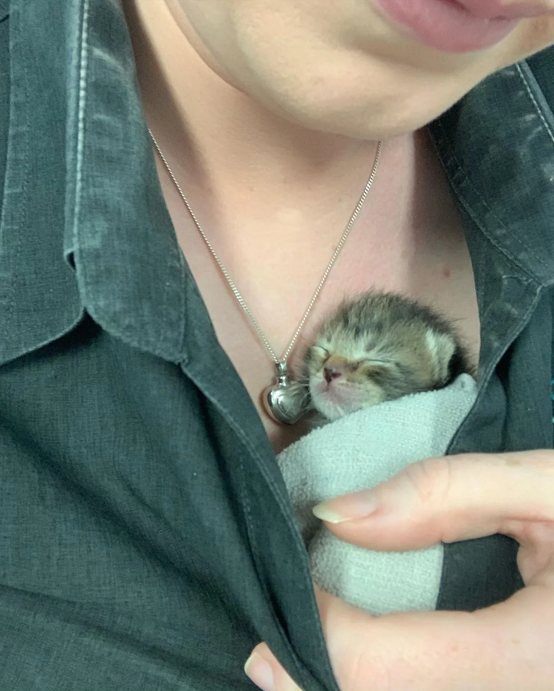 Gatita y su cuidador