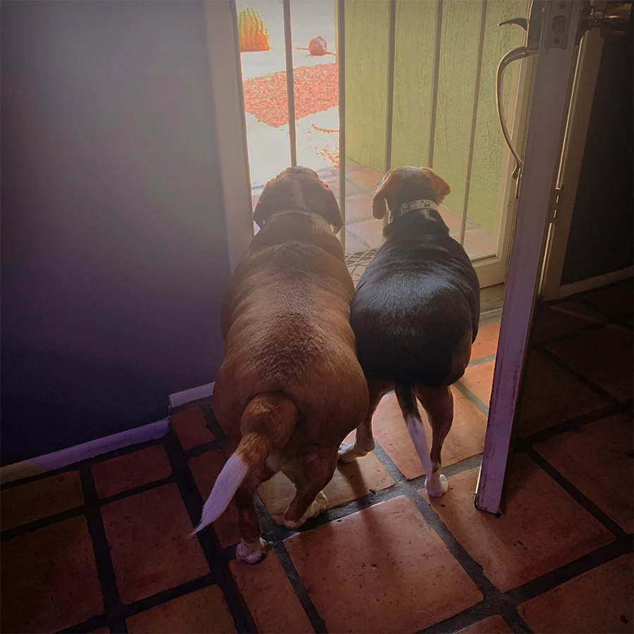 Jameson y hermano