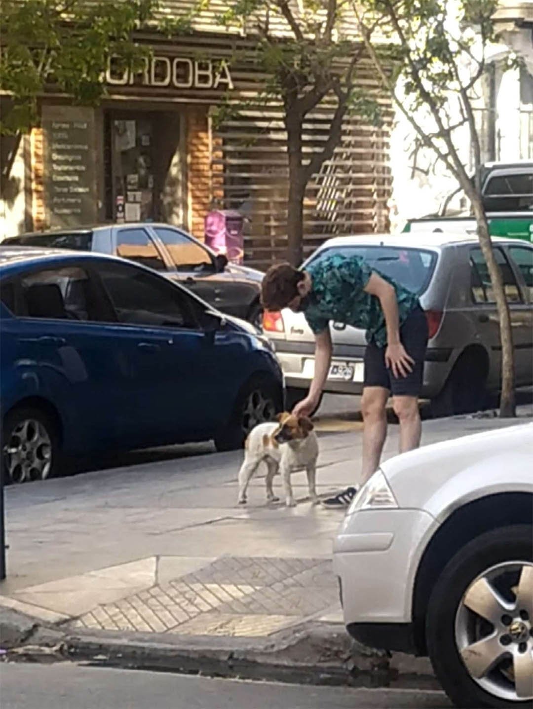 Perro llevó rescatistas
