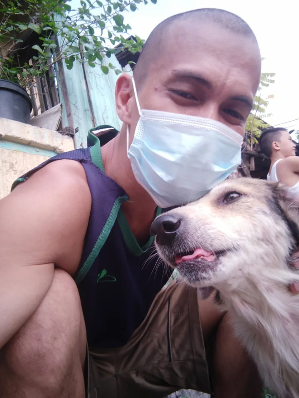 Perro desaparecido se reencuentra con su humano