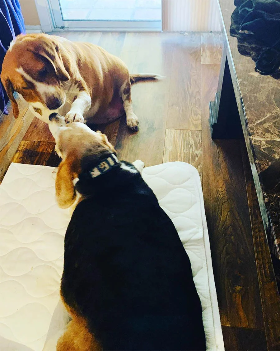 Wolfgang y hermano