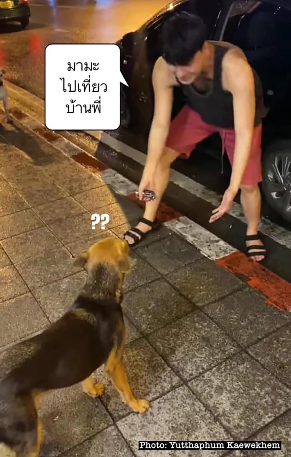 Chico con resaca y perro