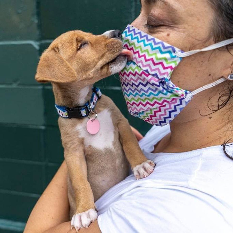 Adorable cachorra ciega