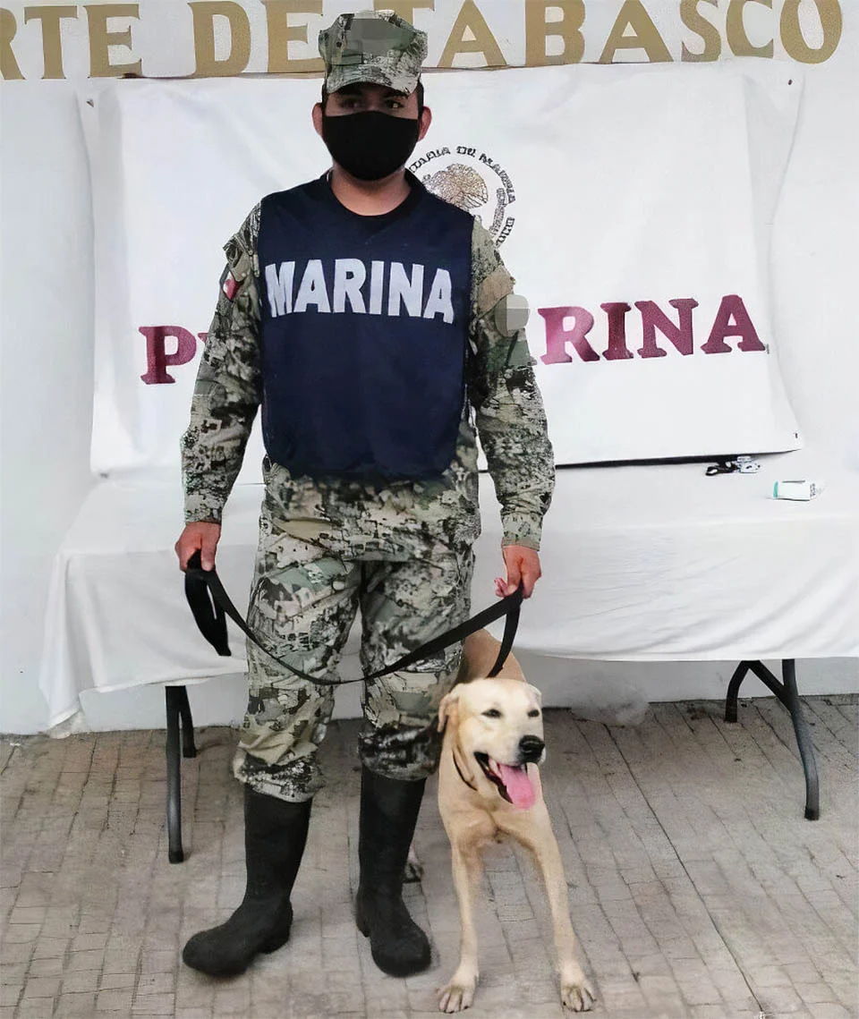 Animal rescatado