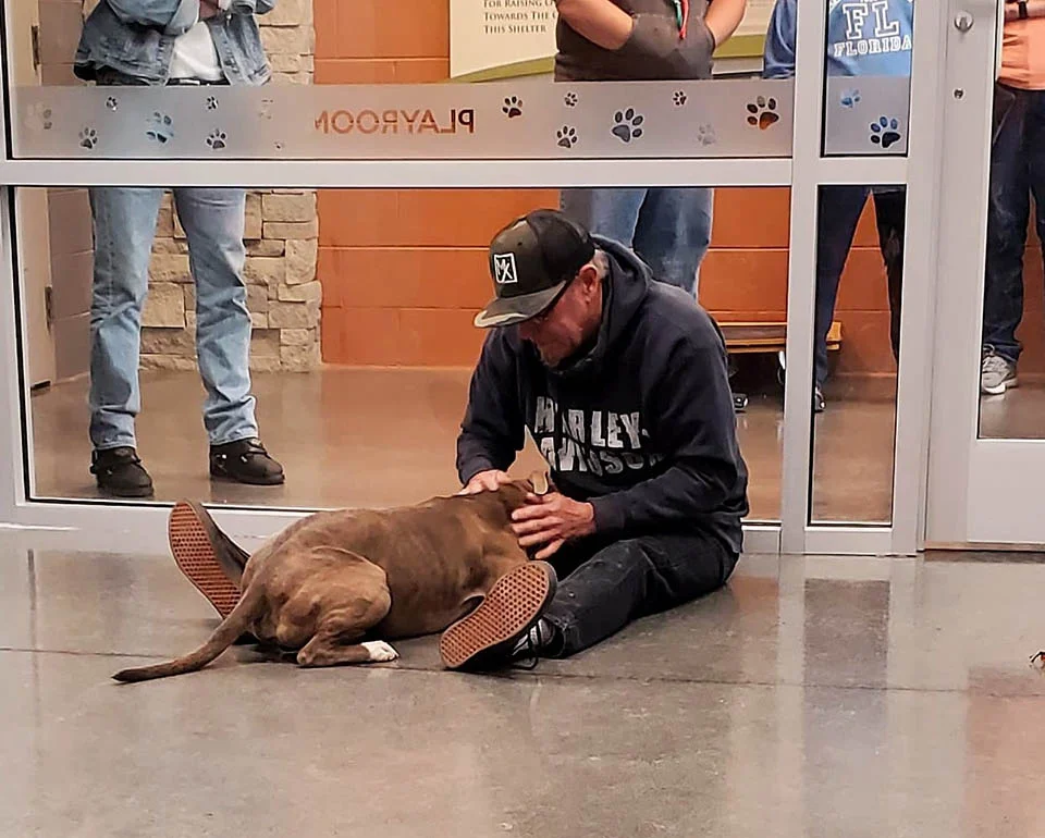 Hombre encuentra a su mascota perdida