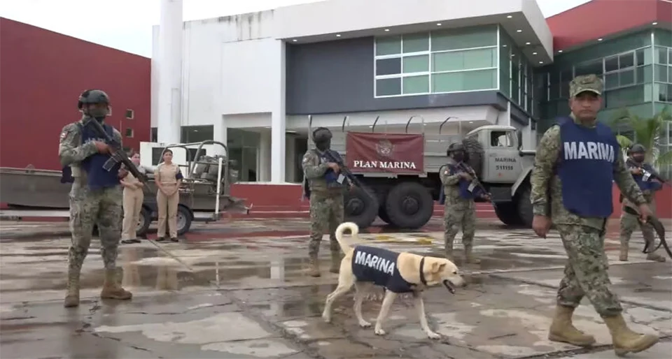 Marina rescata perrito