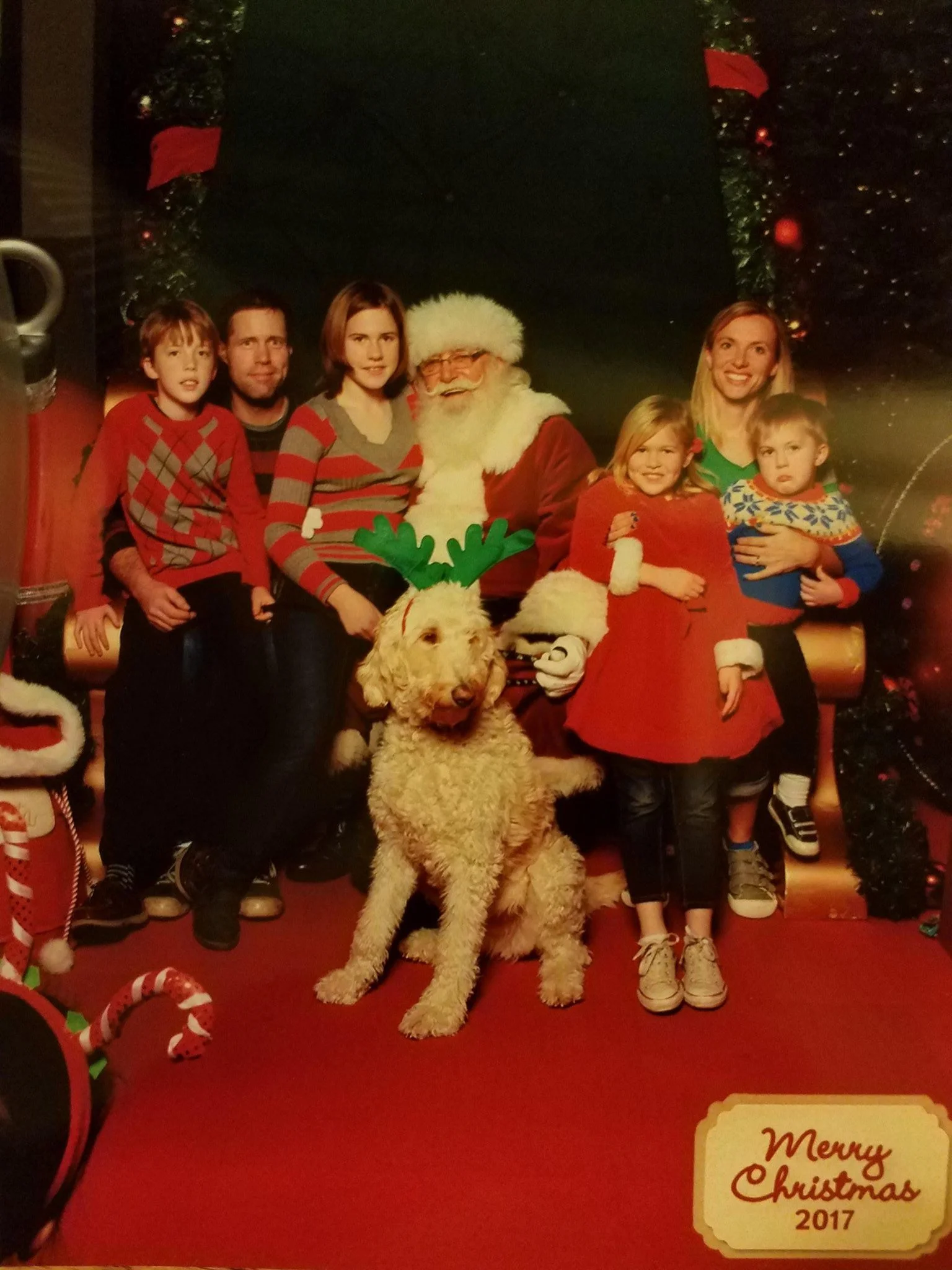Mascota y su familia