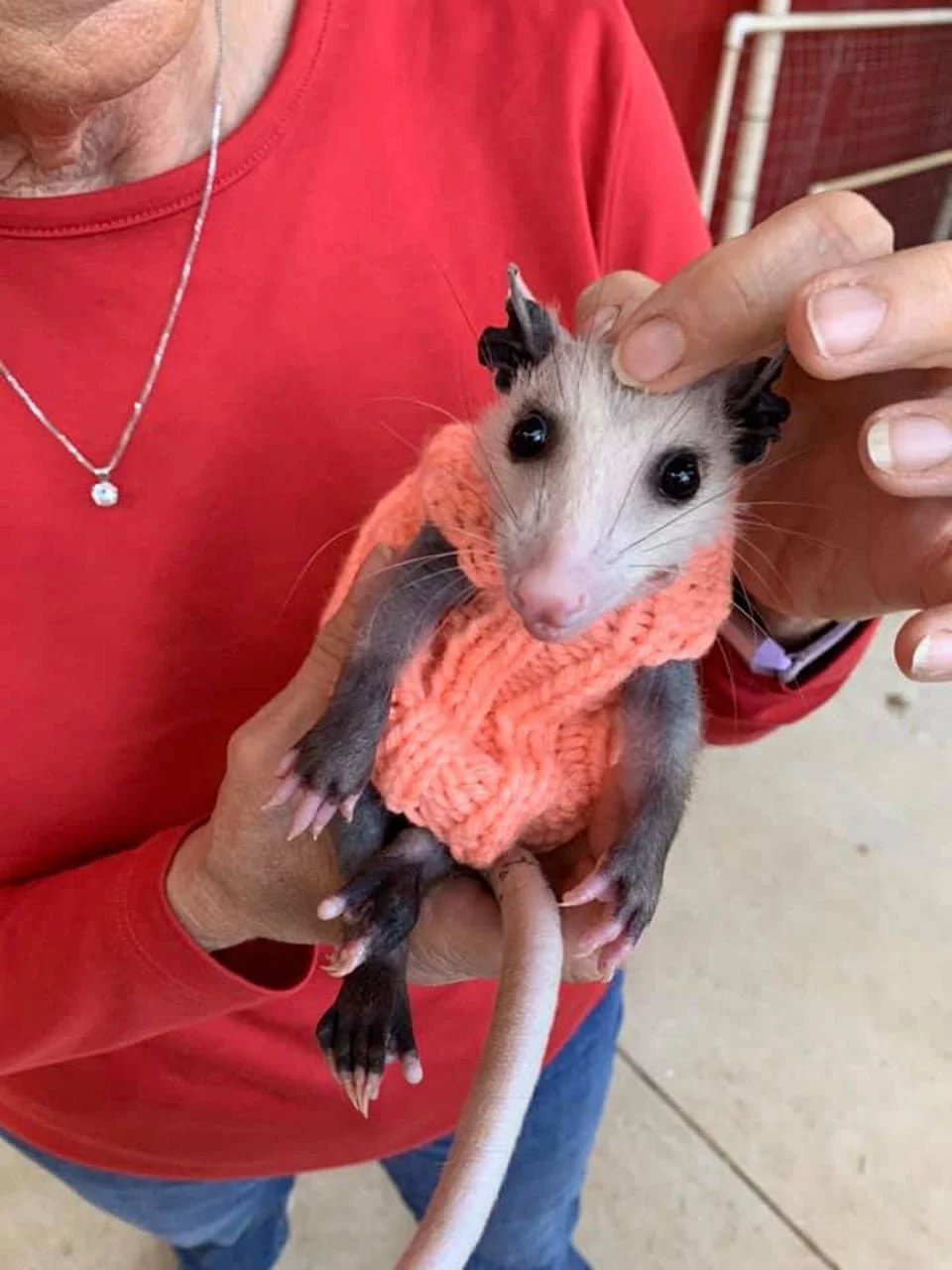Peach con suéter