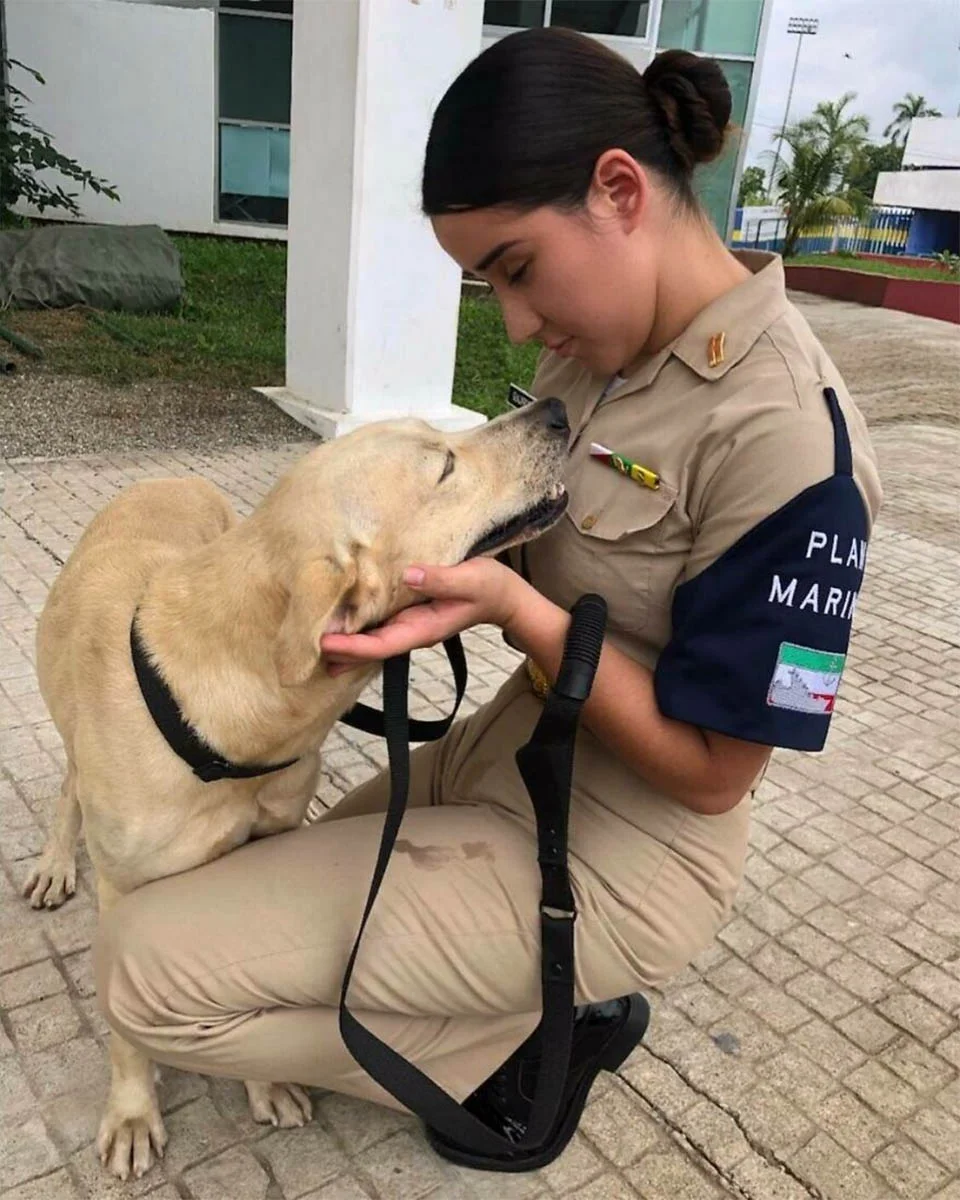 Perro adoptado marina