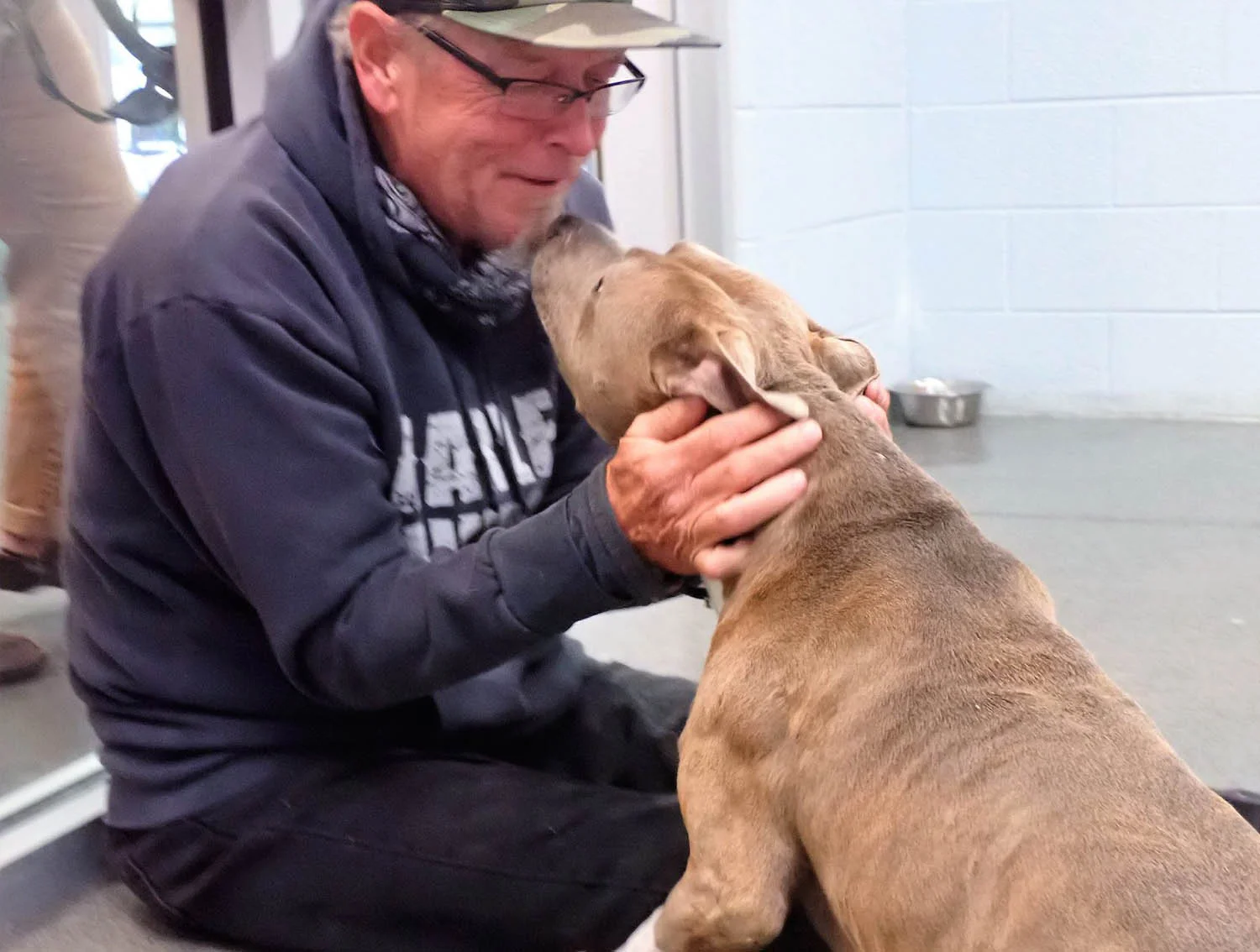 Perro finalmente se reencuentra con su dueño