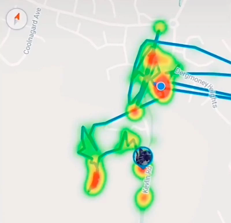 Recorrido de la gata Jagger con el GPS