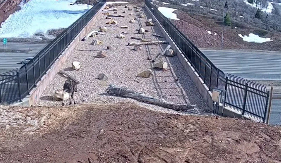 Cámaras ocultas captan