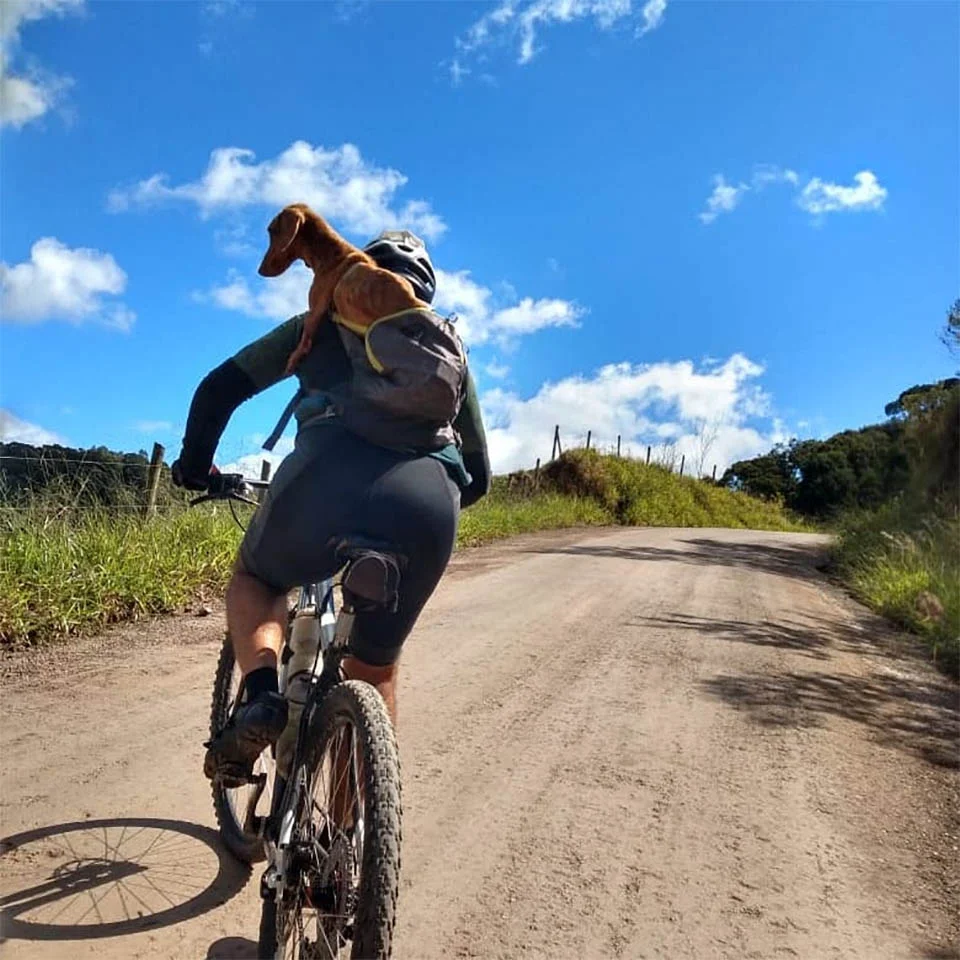 Ciclistas rescatan perrito