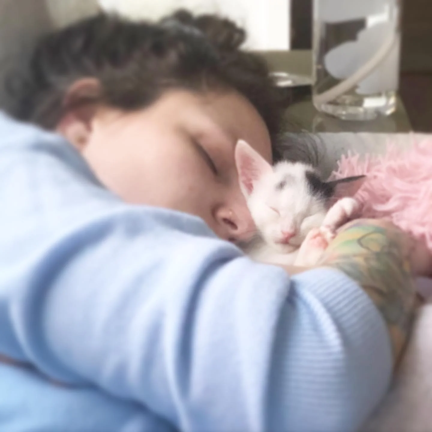 Clove durmiendo