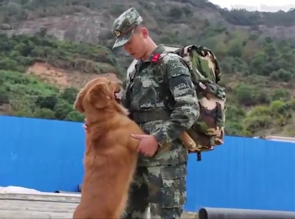 Entrenador se despide de su perro militar