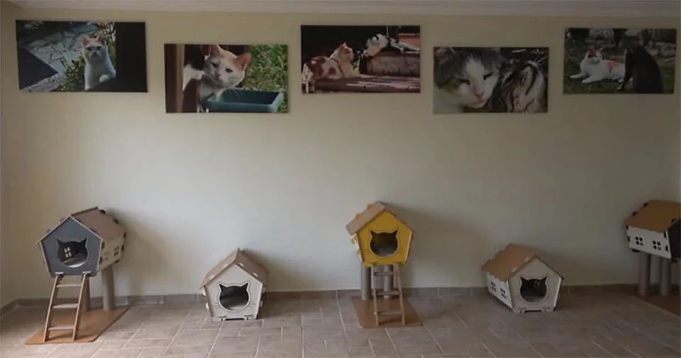 Habitación adecuada