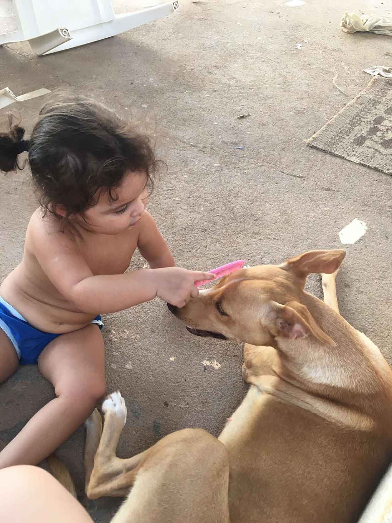 Niña juega con su mascota
