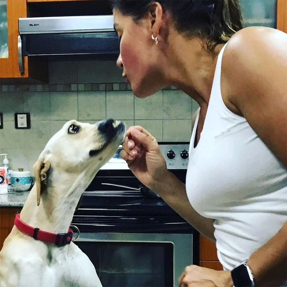 Perro cara torcida