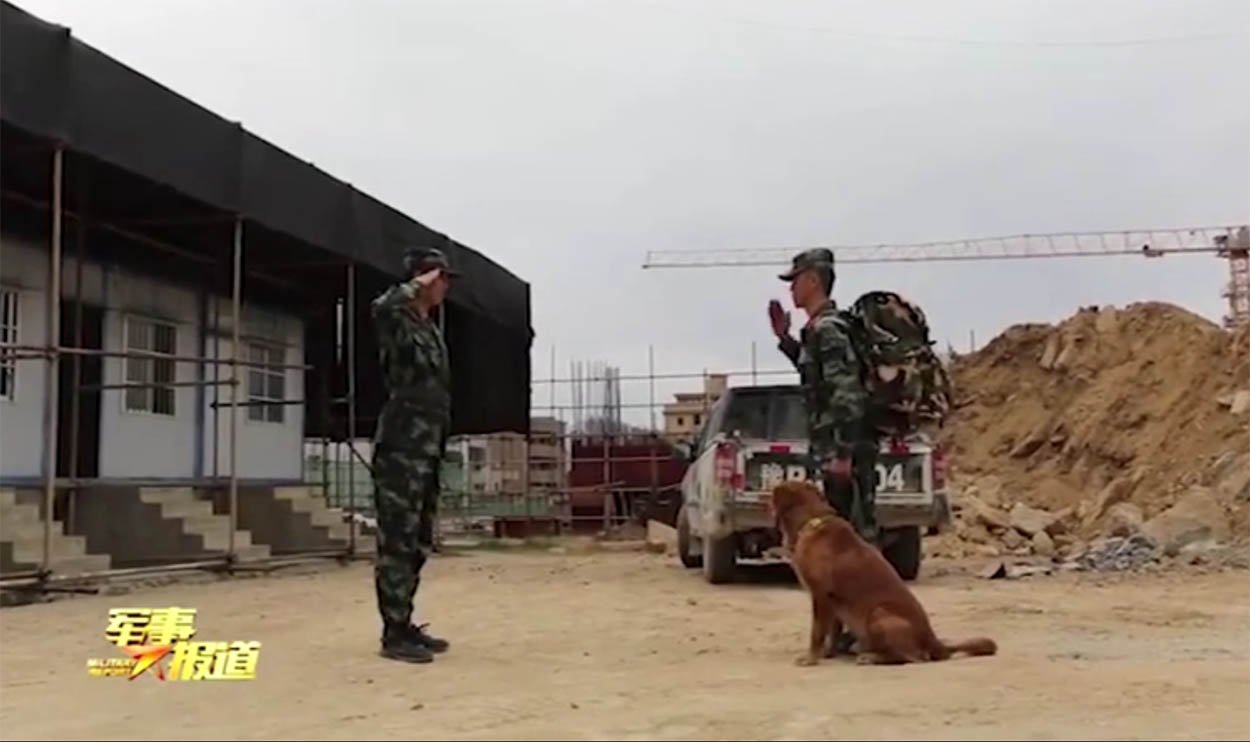 Perro militar y su entrenador