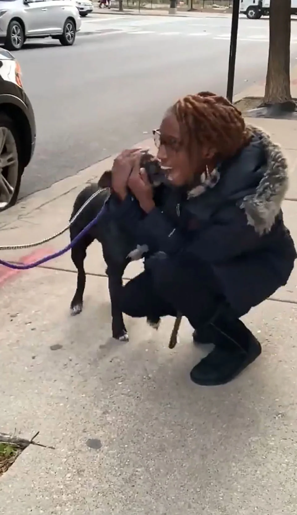 Pitbull ve a su mamá después de un año en las calles