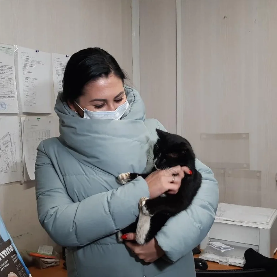 gato rescatado nombrado ministro