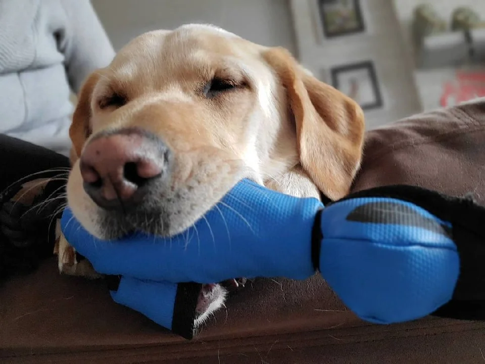 howard duerme con juguete