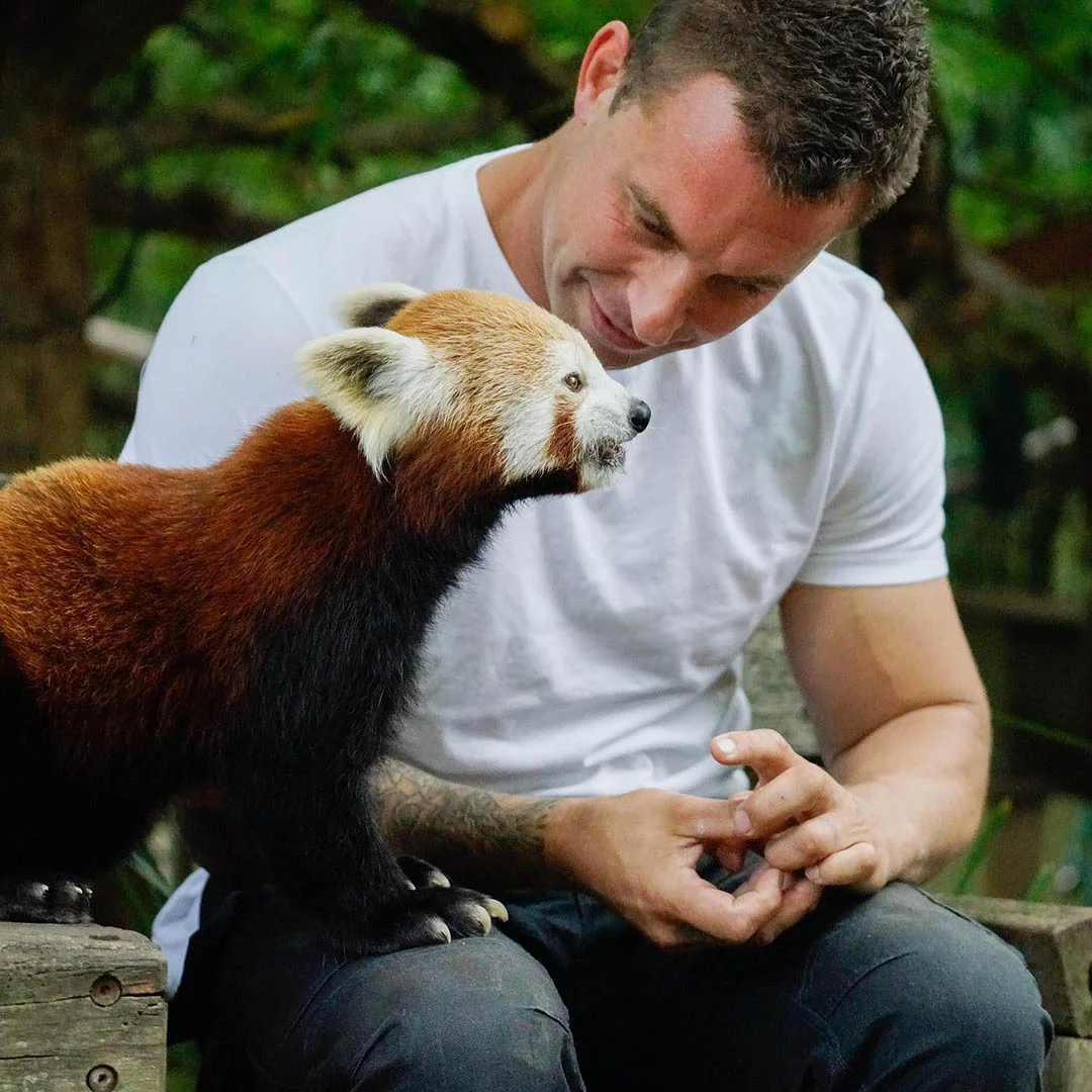 Adorable imagen