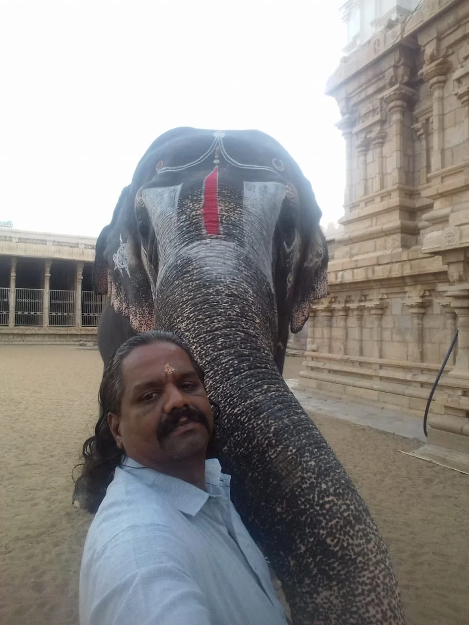 Andal y Mahout Andal y Mahout