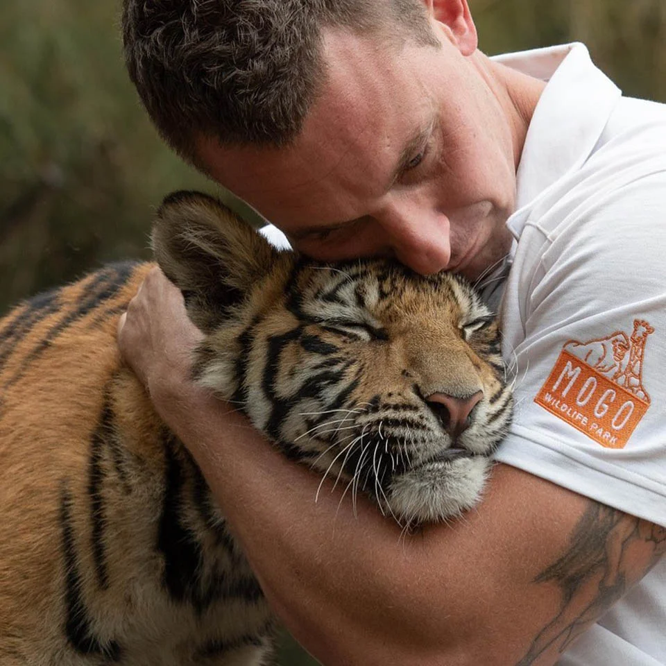Chad con tigre