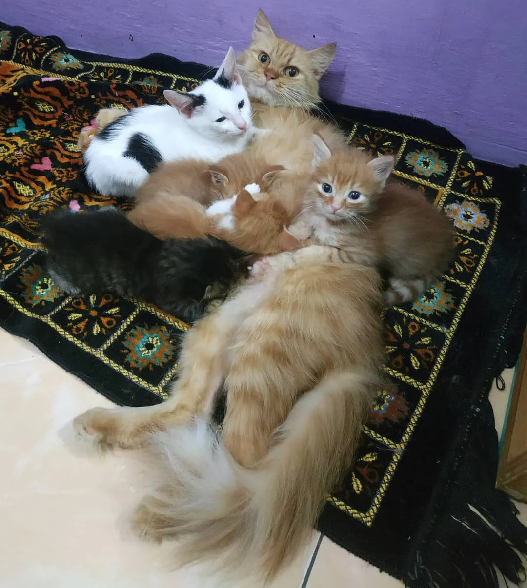 Dani con familia adoptiva