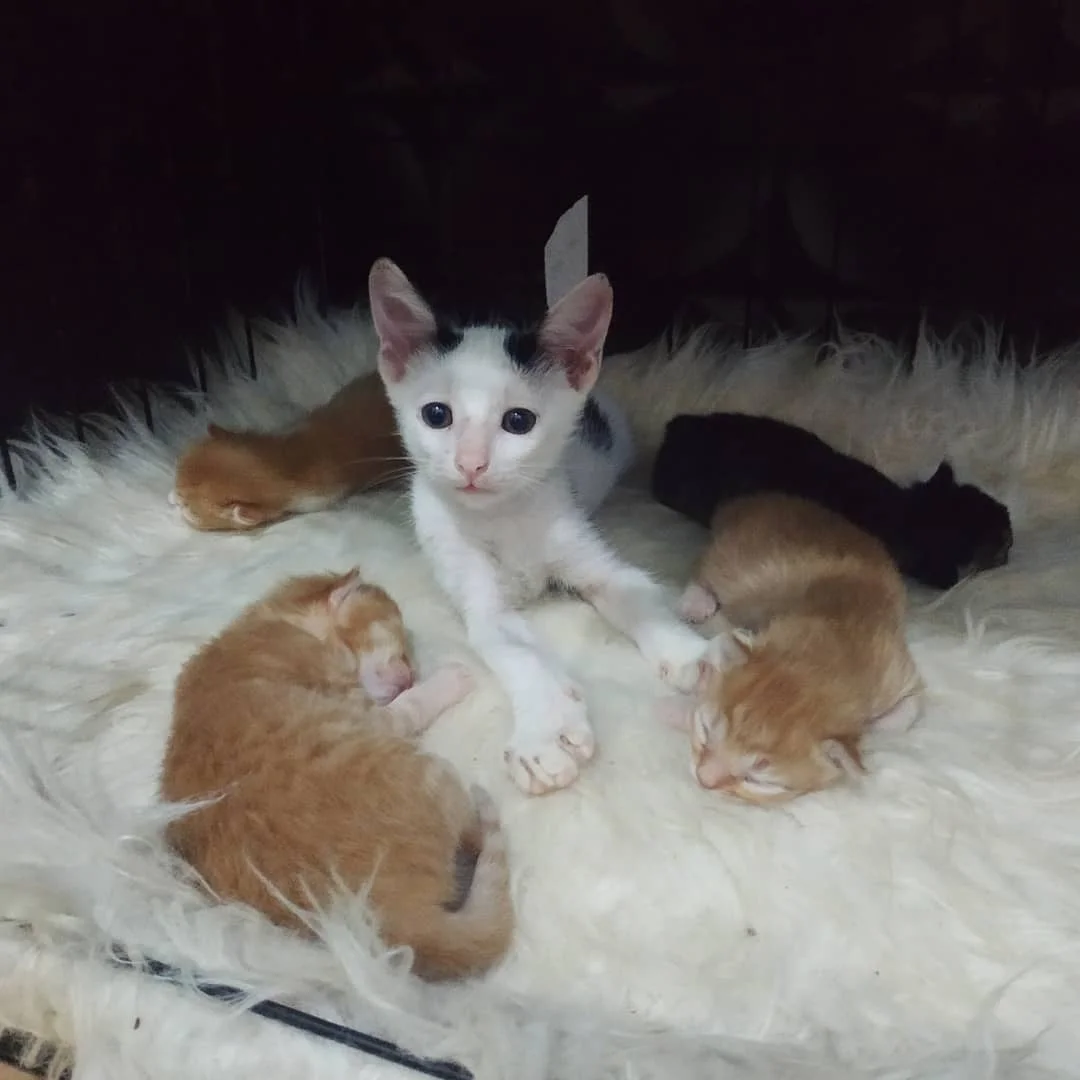 Dani cuidando hermanitos