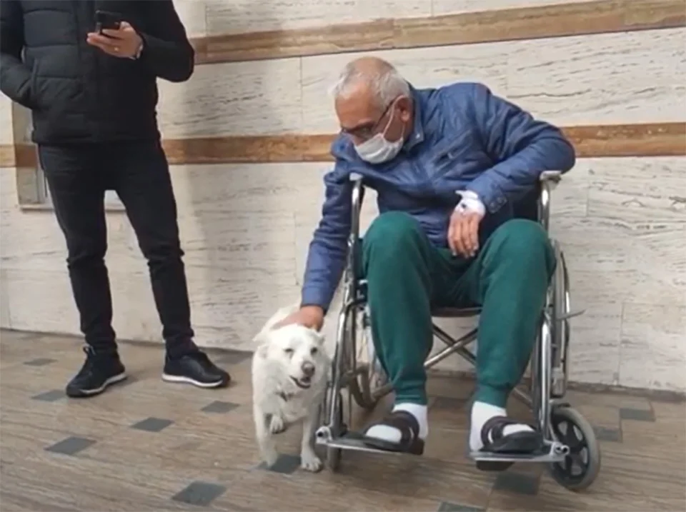 Encuentro entre Cemal y mascota