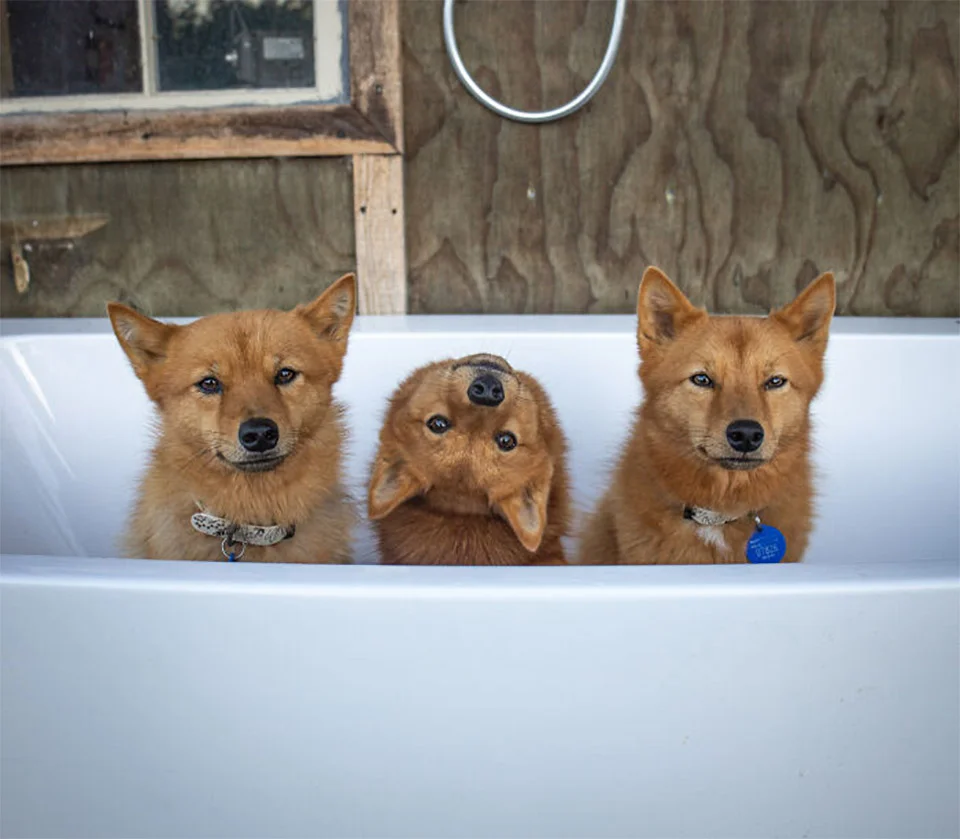 Foto de Kiko
