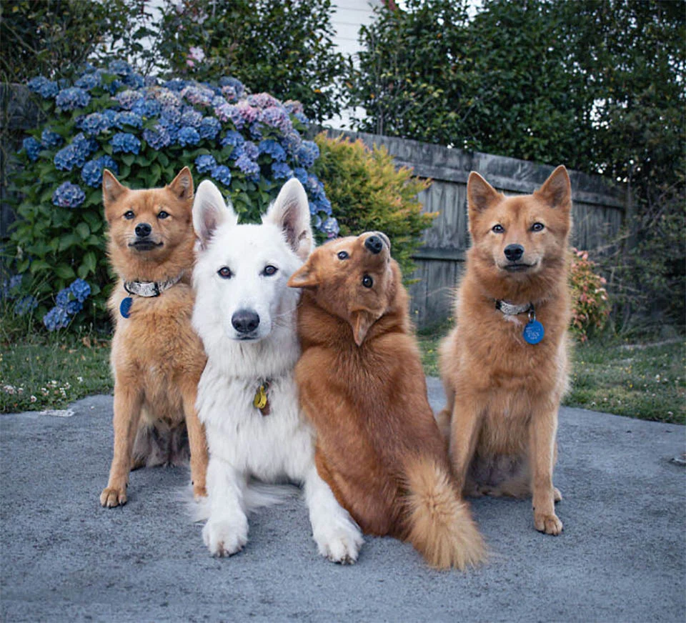 Foto grupal