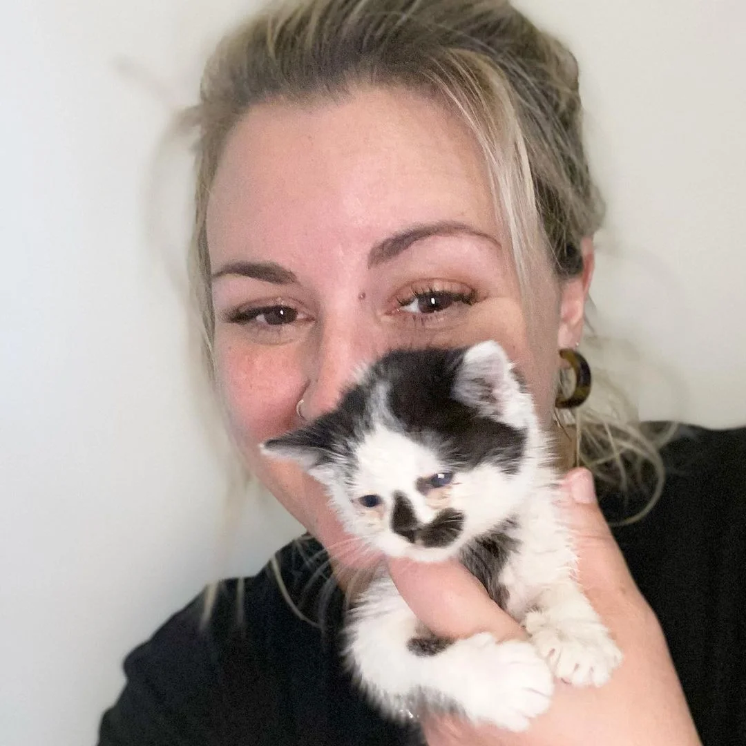 Gatito esta feliz de encontrar una familia