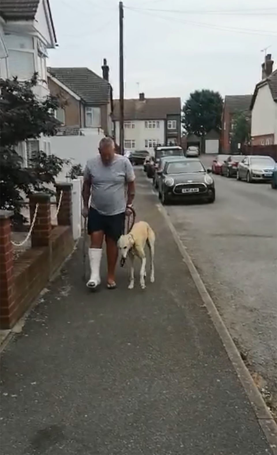 Hombre descubre que su perro cojeaba por compasión