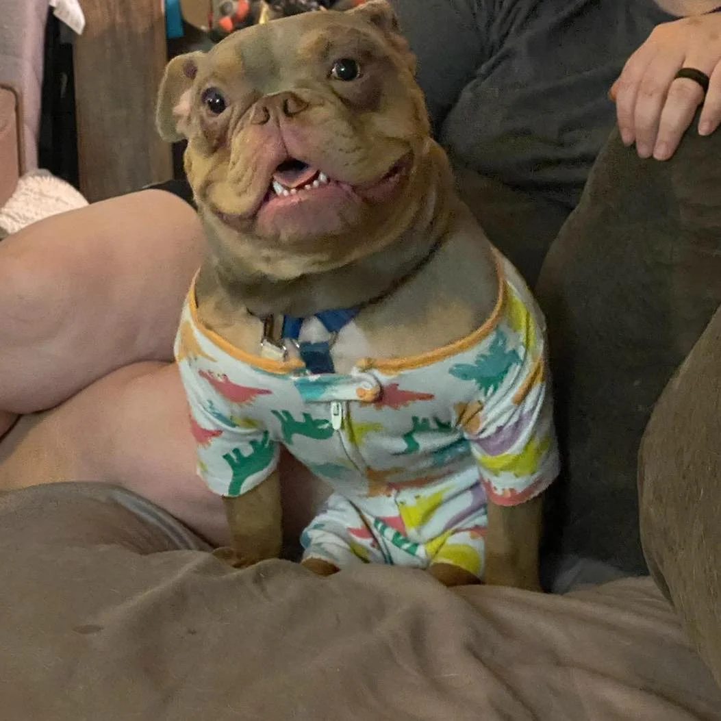 Jack con pijama