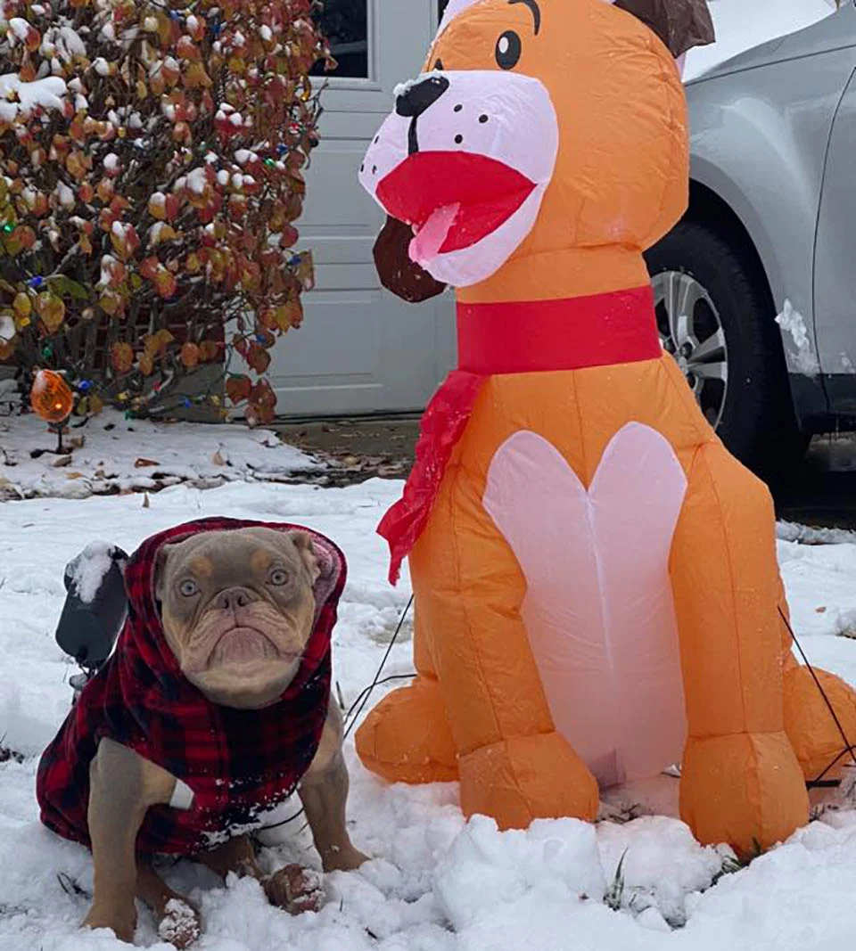 Jack en la nieve