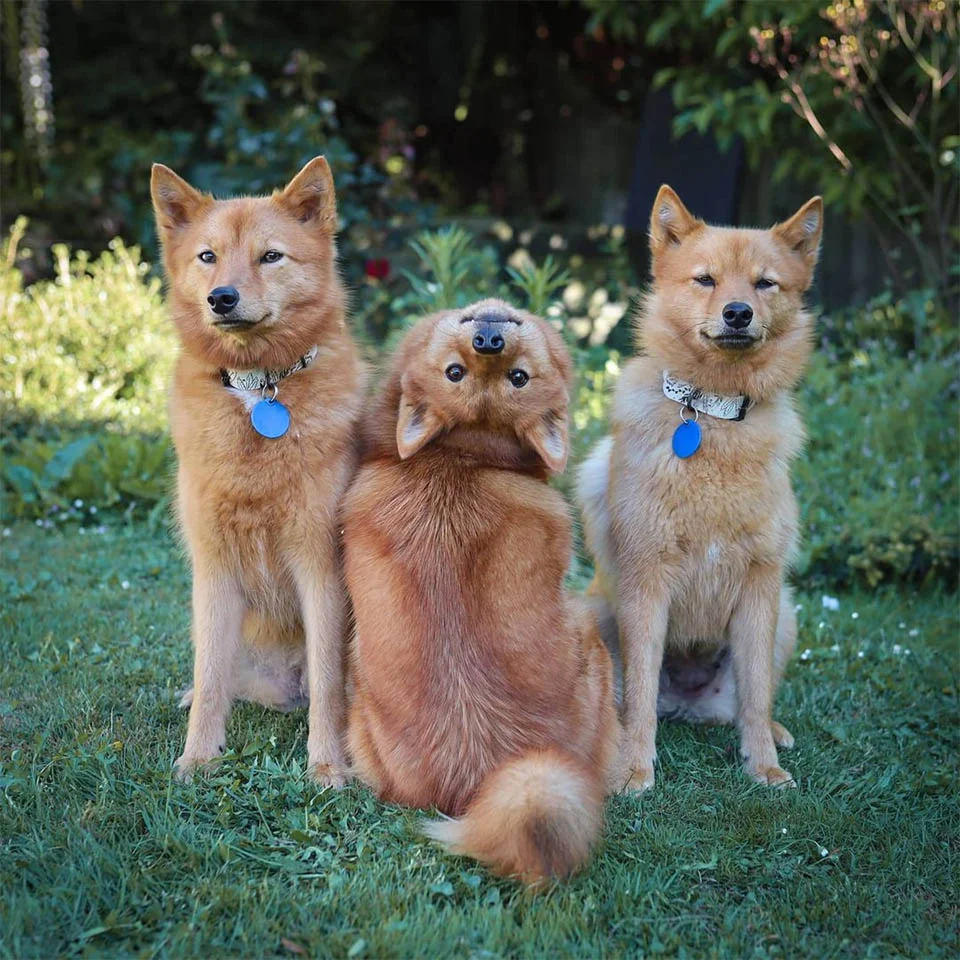 Kiko con hermanos