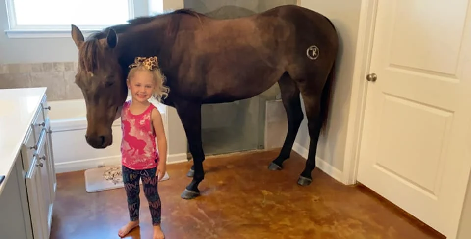 Niña y su caballo