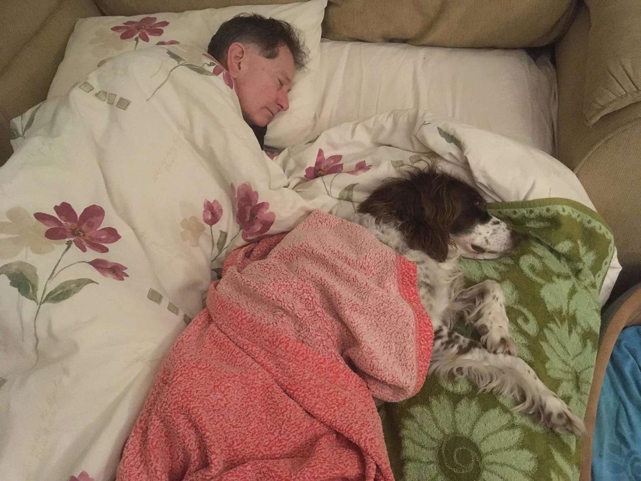 Papá duerme con el perro mayor
