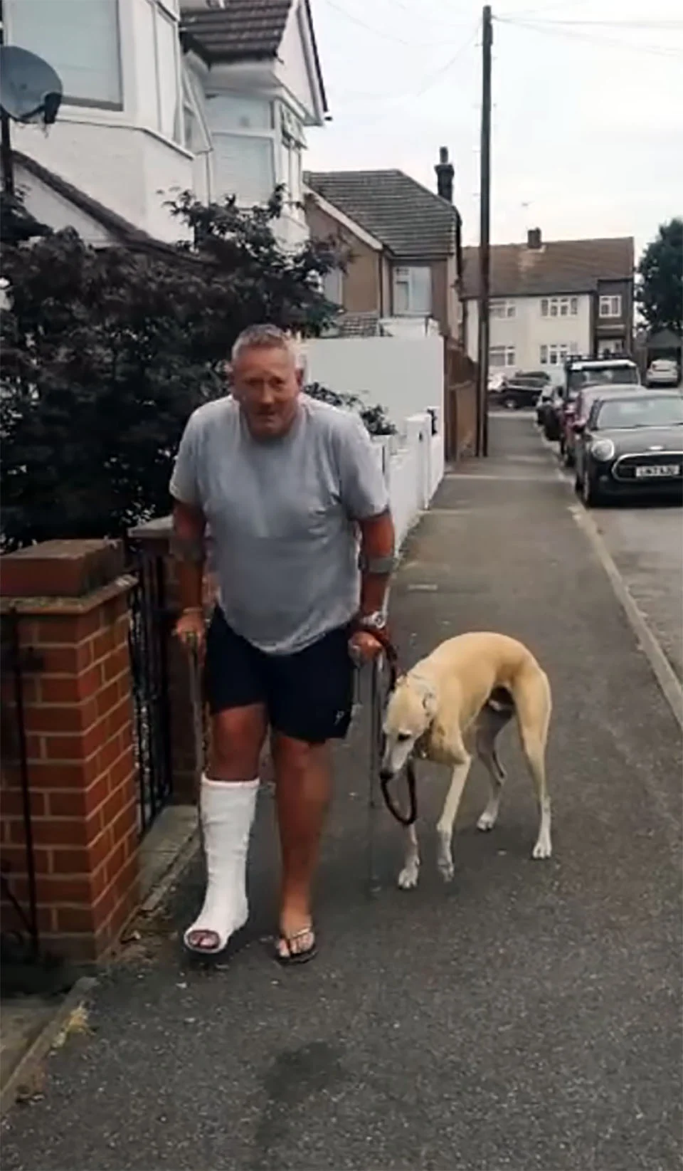 Perro imita cojera de su padre