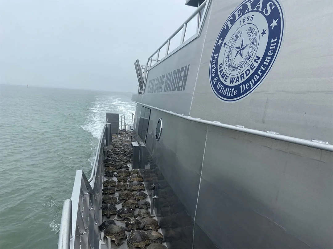 Criaturas rescatadas