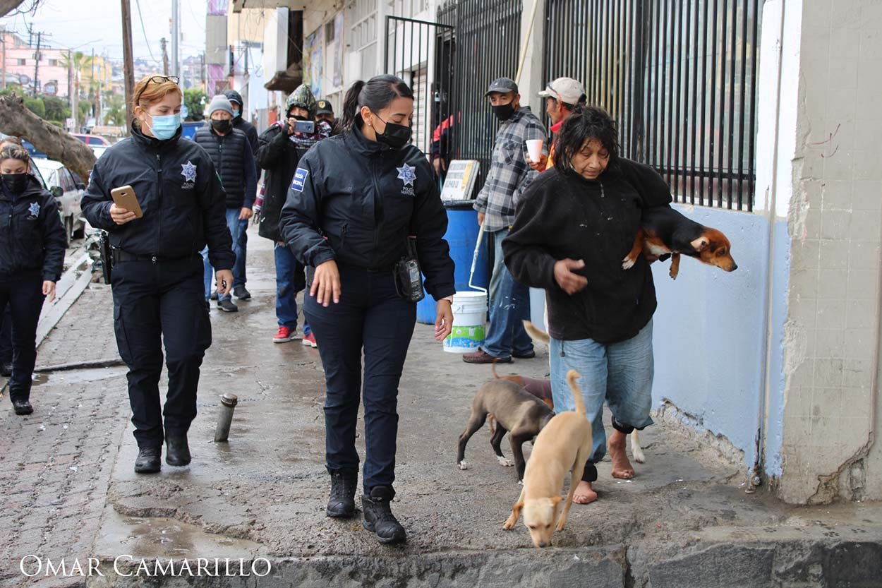 Mujer mayor y sus peludos