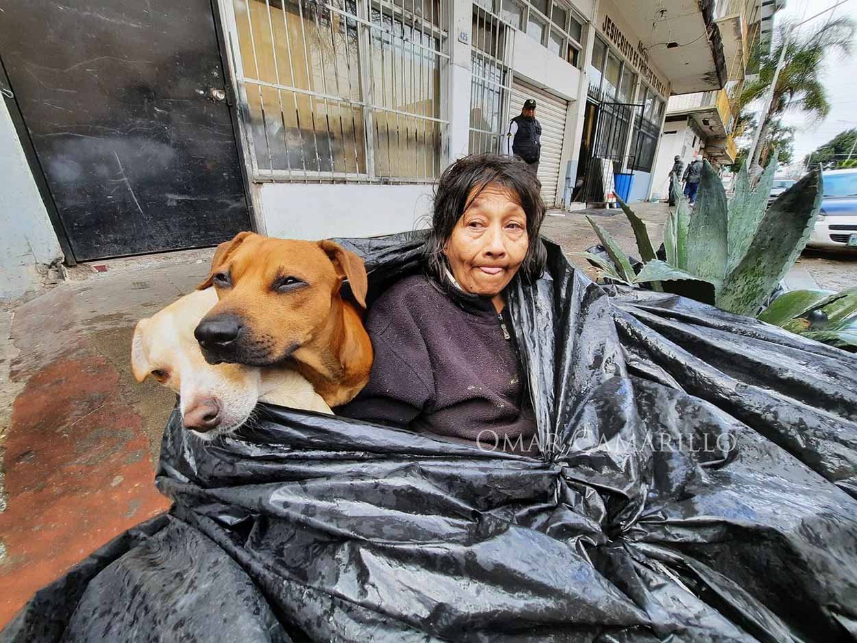 Mujer sin hogar y sus perros