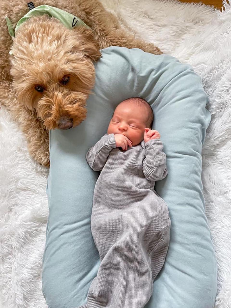 Adorable perro y bebé